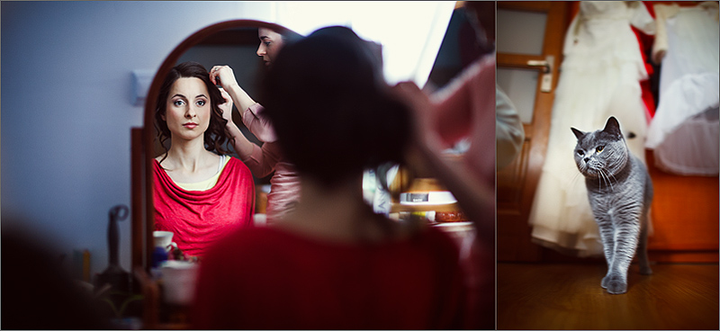 Zdjęcia ślubne i weselne Rzeszów kot